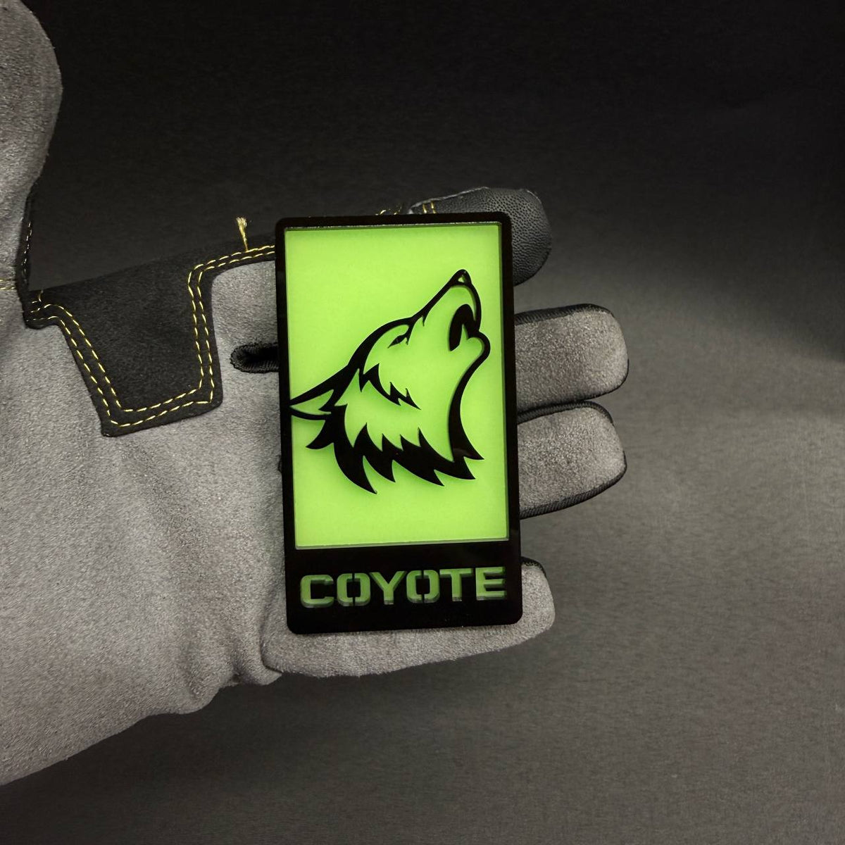 Glow in dark Coyote fender badge for Ford Mustang F-150 Bronco and custom builds