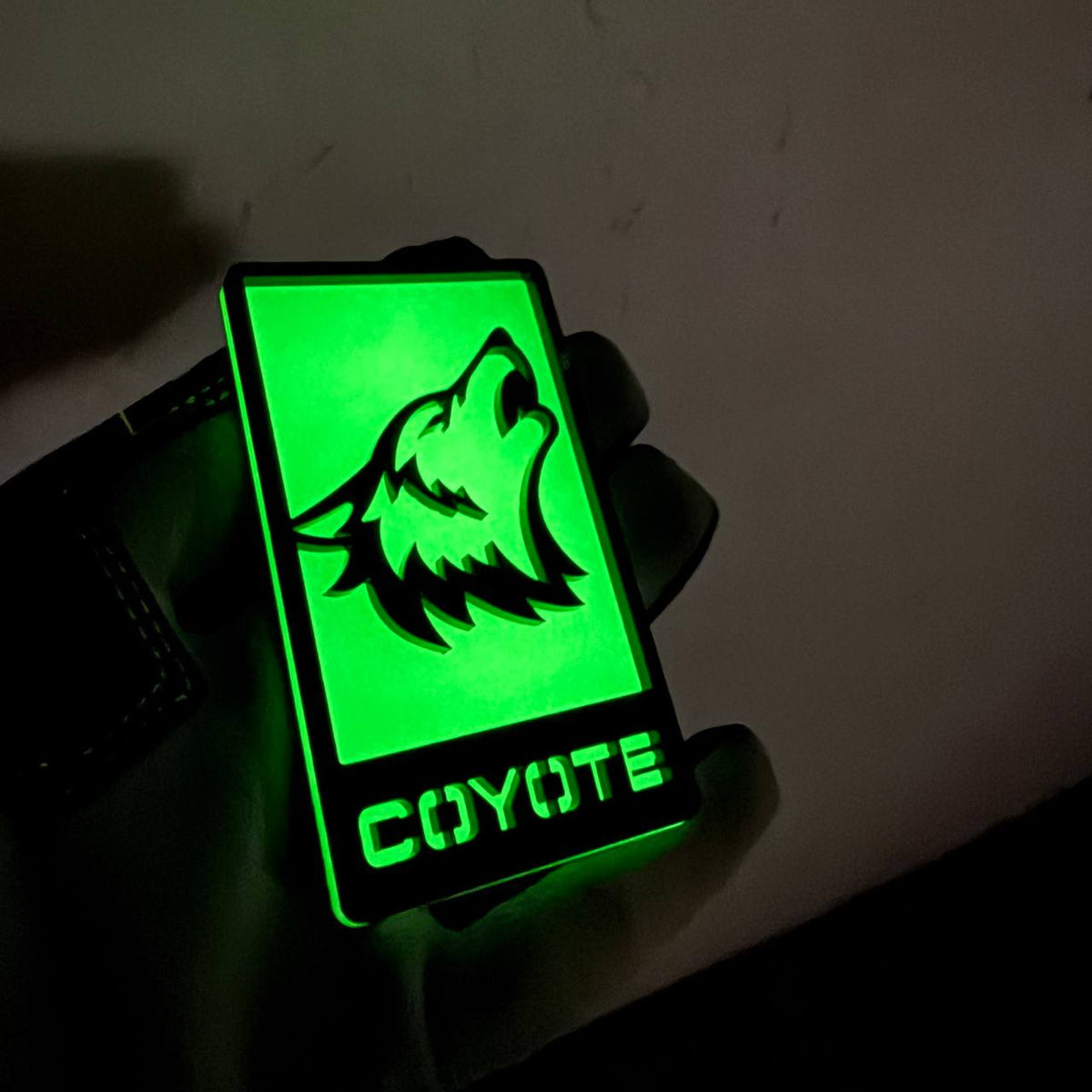Coyote wolf glow in dark fender emblem for Ford Mustang F150 and custom vehicles