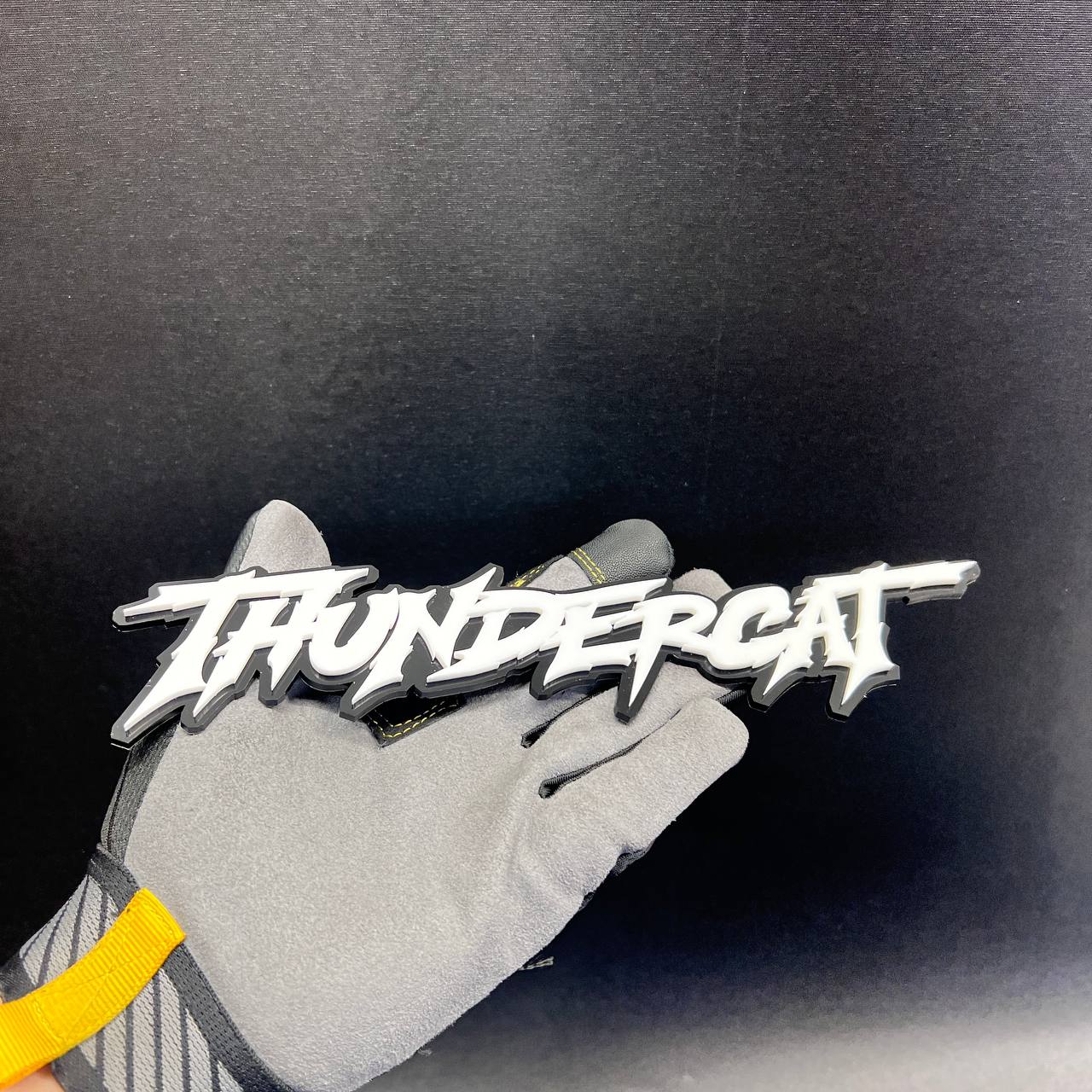 THUNDERCAT exterior text badge shown against a black background