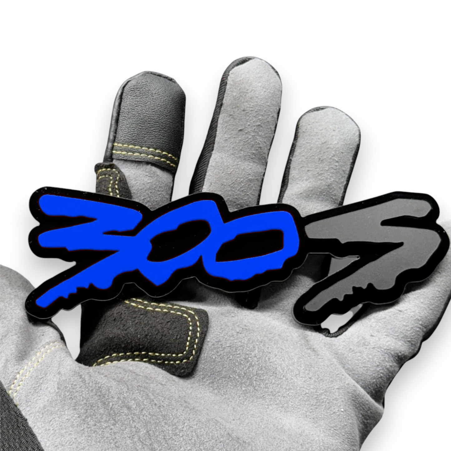 300 emblem on dodge charger muscle car fender