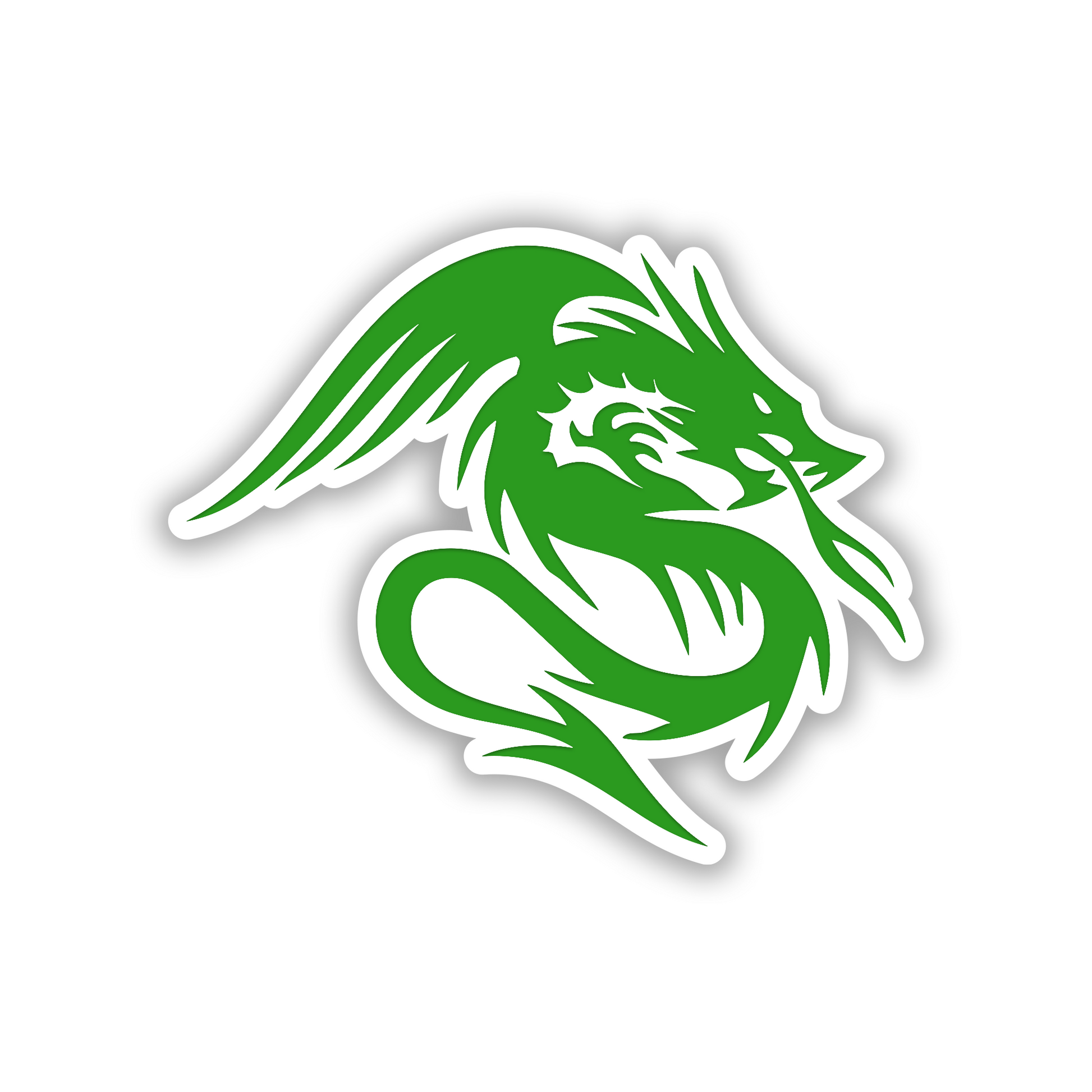 Custom Dragon vehicle emblem with aggressive fantasy dragon design in brushed silver.