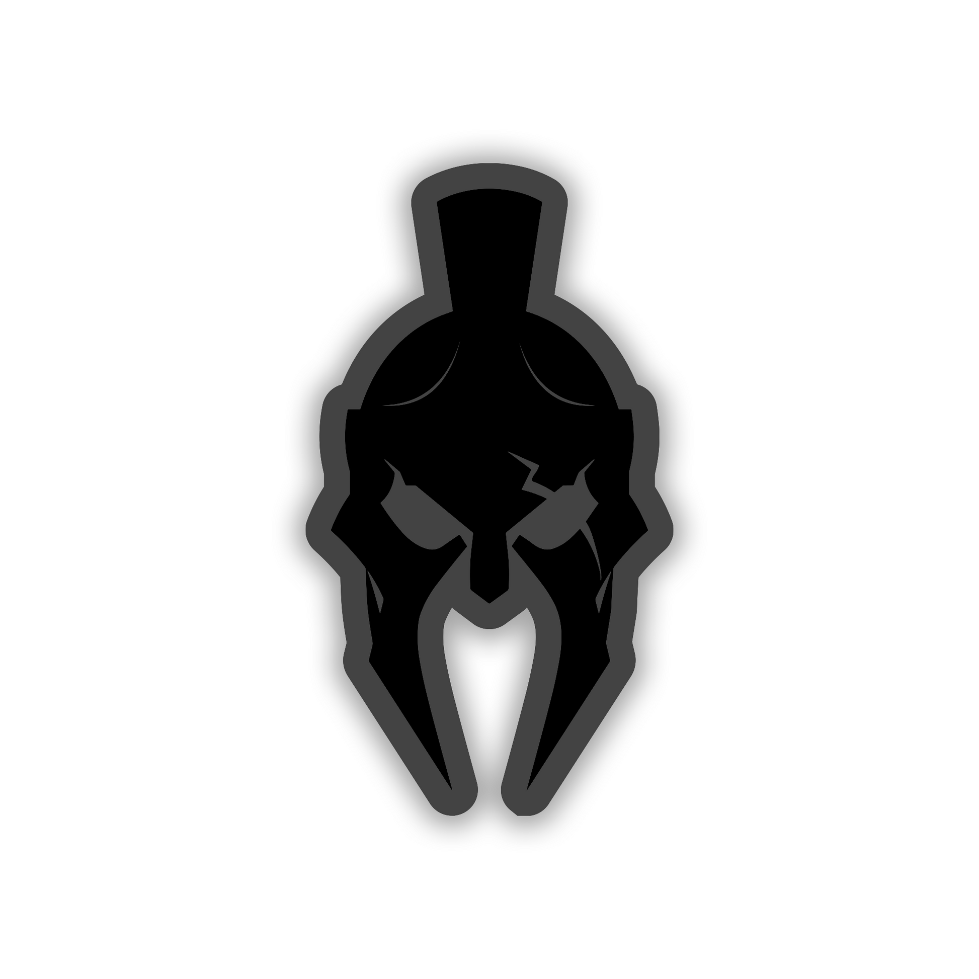 Spartan helmet vehicle emblem with metallic silver finish and black backing