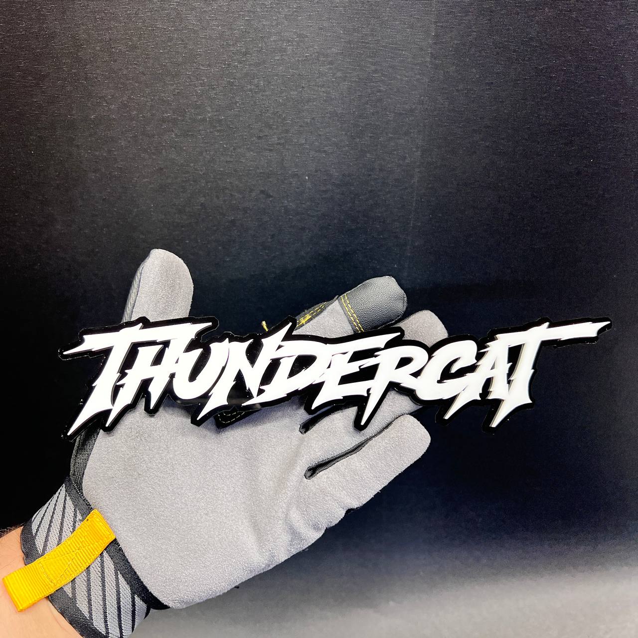 THUNDERCAT car badge fender emblem with white lettering and black background